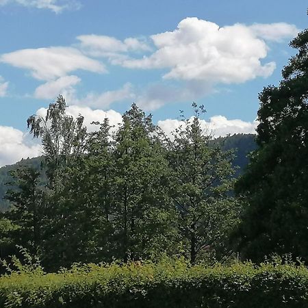 Toepferblick Apartman Olbersdorf Kültér fotó