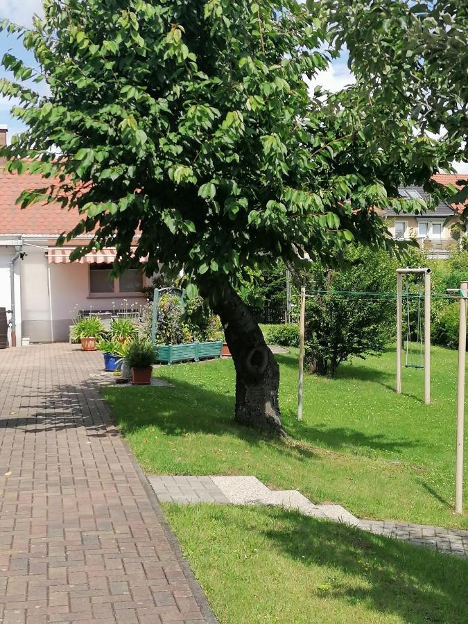 Toepferblick Apartman Olbersdorf Kültér fotó